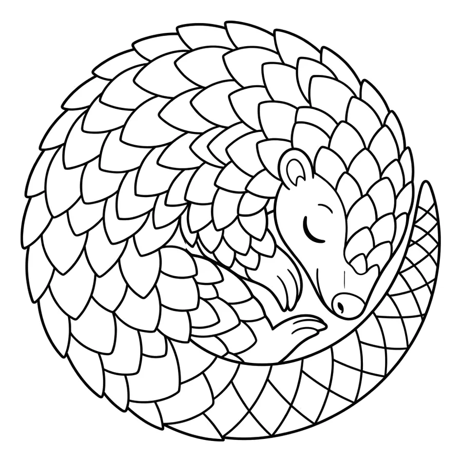 Cute baby pangolin coloring page 11